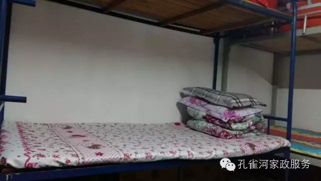 ��ȸ�Ӽ�����ķ������ů��ů��������