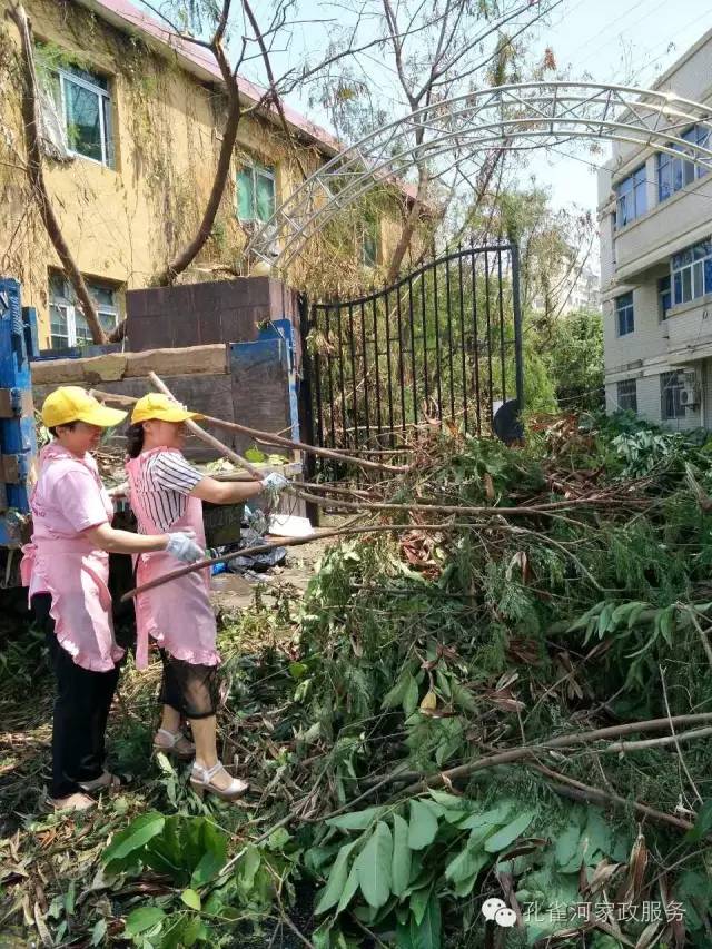 ��������y���������