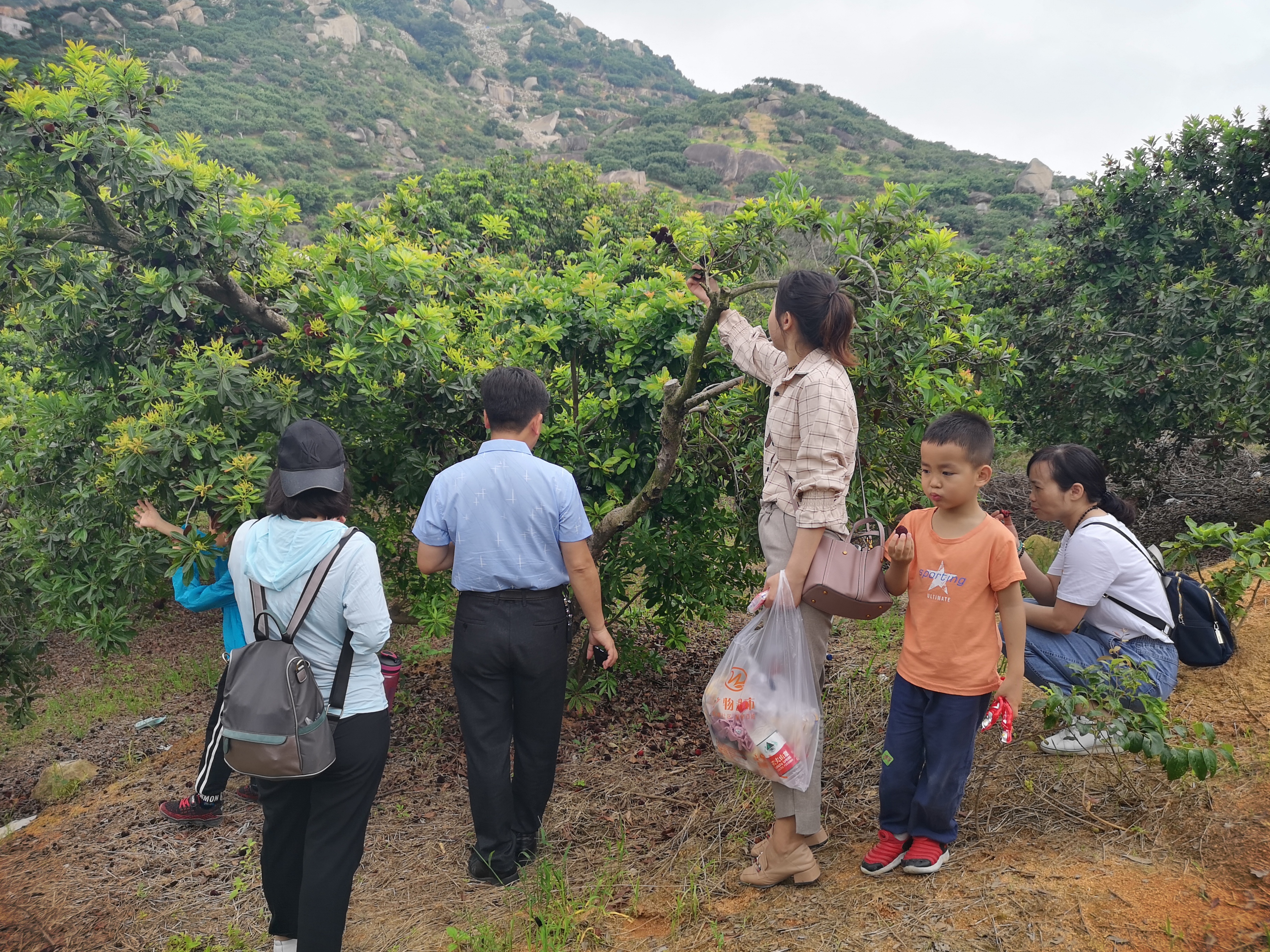 ���؄e��Ϣ���@�ε��ի@�H�S����ȸ���H�ӻ��(d��ng)�����Y(ji��)������